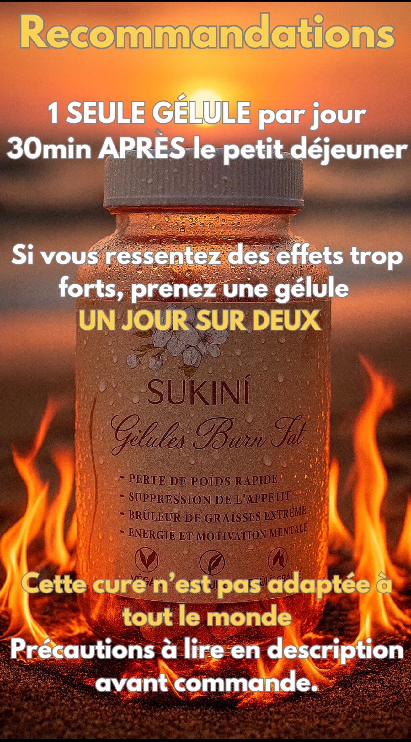 Gélules Burn Fat 🔥